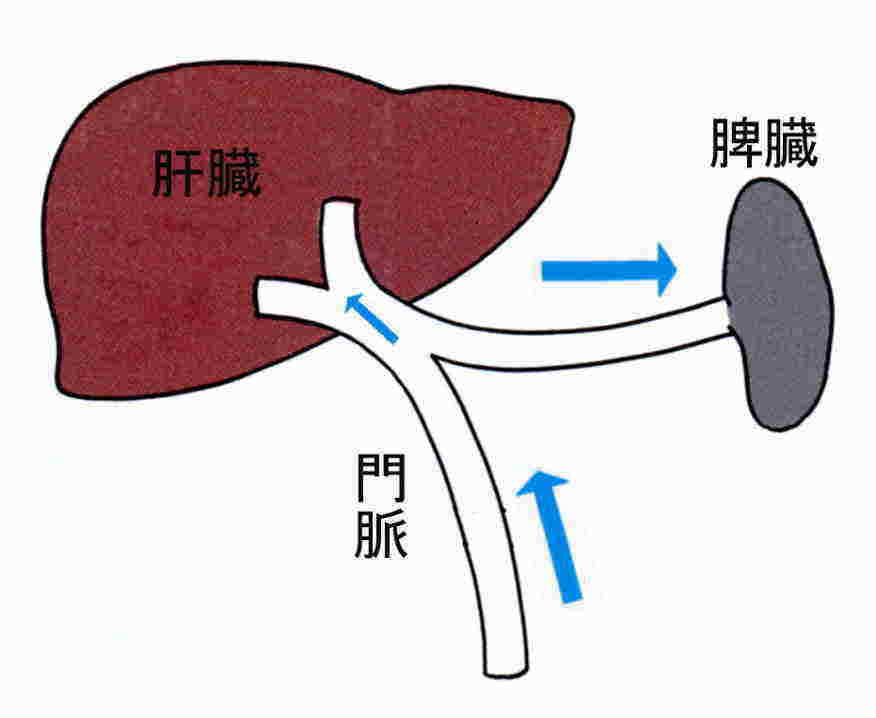 喬